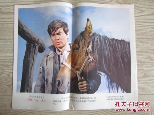 哪里能办理阿拉巴马州驾照